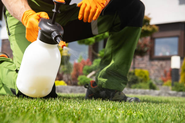 Best Ant Control Services  in Johnsburg, IL
