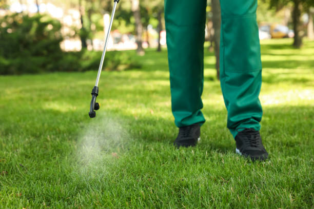 Best Pest Removal Services  in Johnsburg, IL