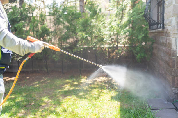 Best Flea Control Services  in Johnsburg, IL