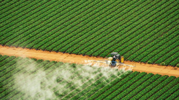 Best Termite Control Services  in Johnsburg, IL