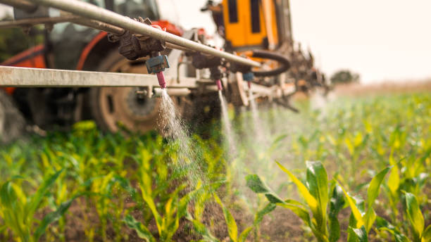 Reliable Johnsburg, IL Pest Control Solutions