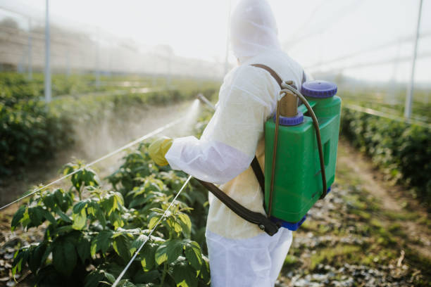 Best Best Pest Control Companies  in Johnsburg, IL